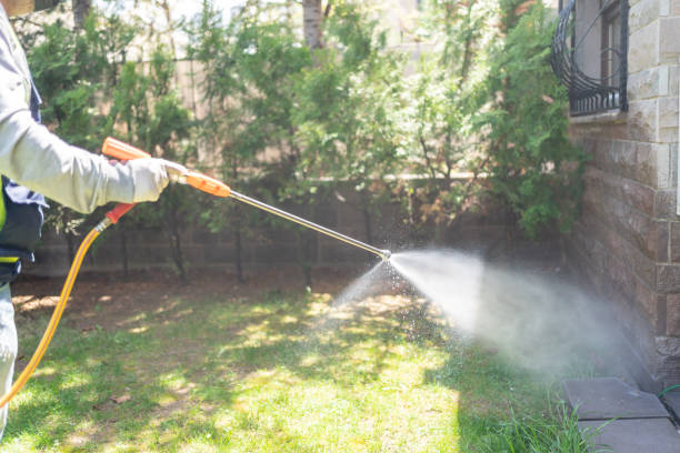 Professional Pest Control in Chilhowie, VA